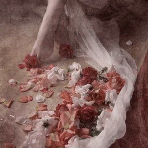 Meet your Posher, lili